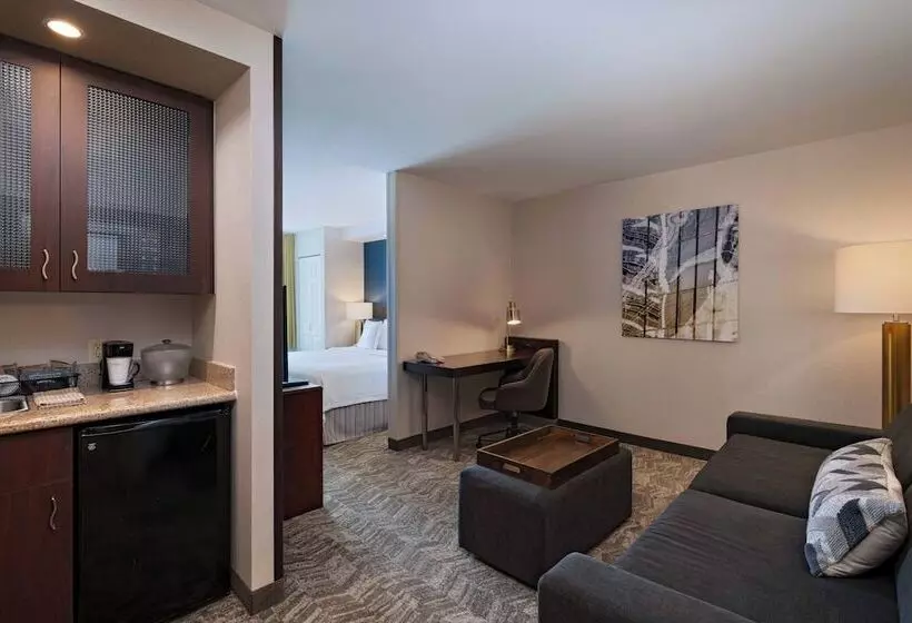 سوئیت برای معلولان, Springhill Suites Boise West/eagle