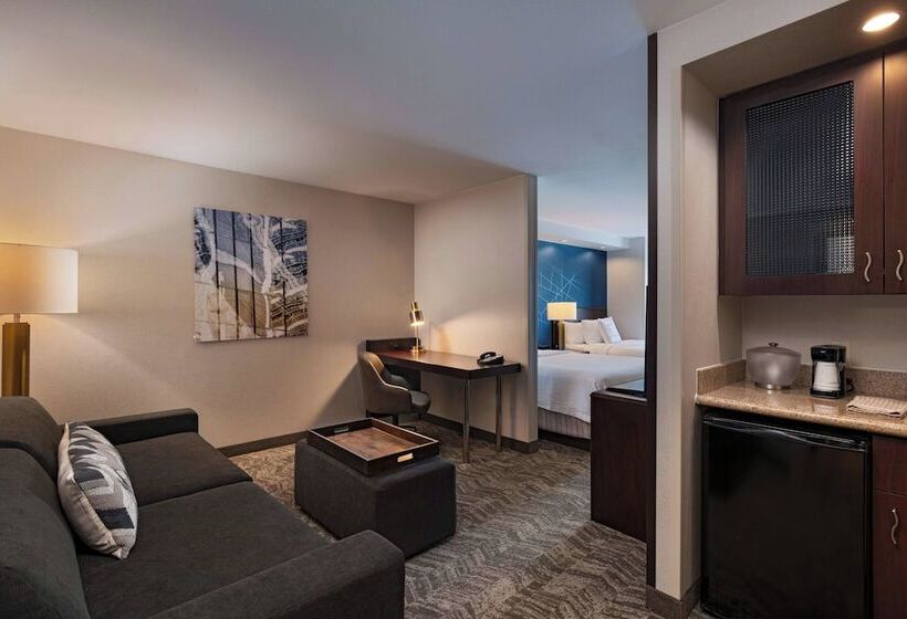 Люкс Адаптированный для Инвалидов, Springhill Suites Boise West/eagle