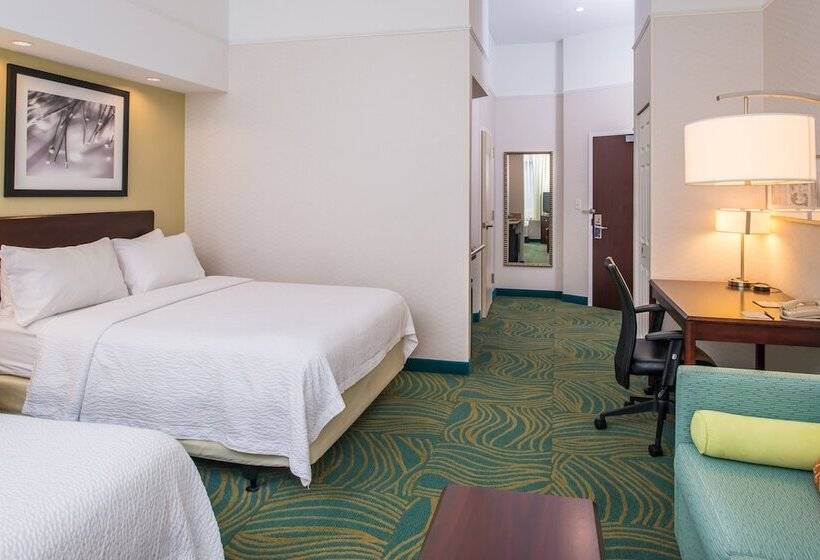 适合残疾人士使用的套间, Springhill Suites Boise West/eagle