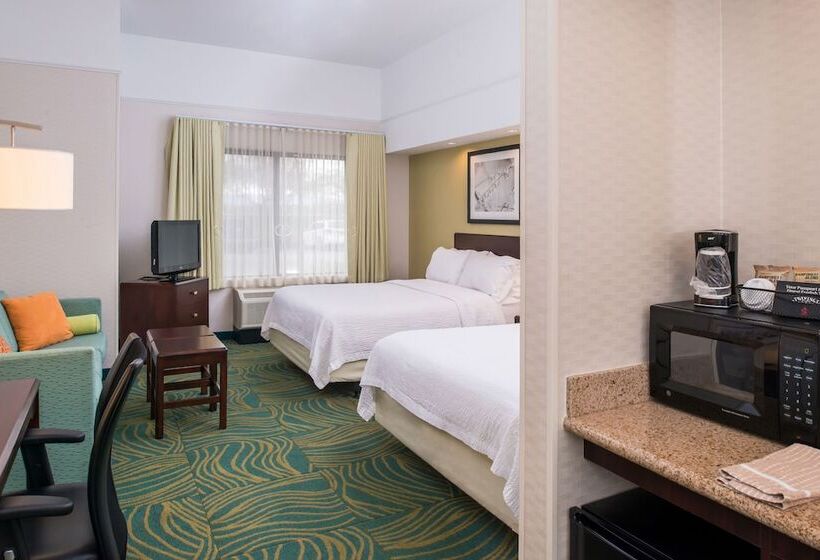 适合残疾人士使用的套间, Springhill Suites Boise West/eagle