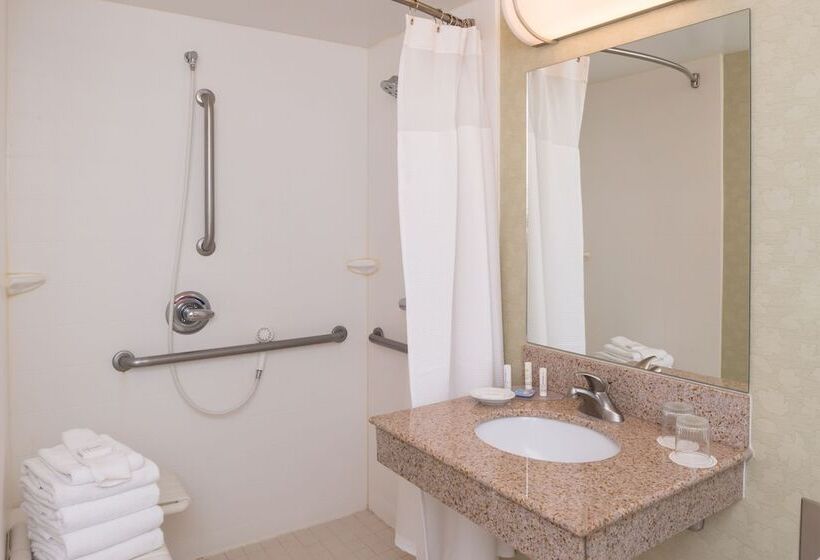 Люкс Адаптированный для Инвалидов, Springhill Suites Boise West/eagle