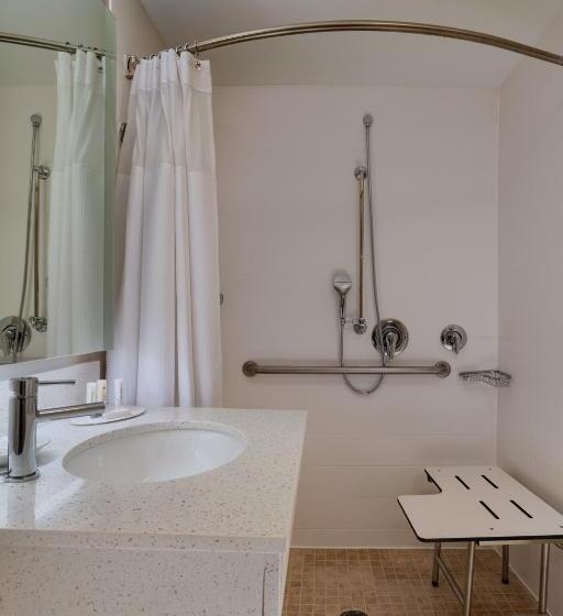 套房, Springhill Suites Boise West/eagle