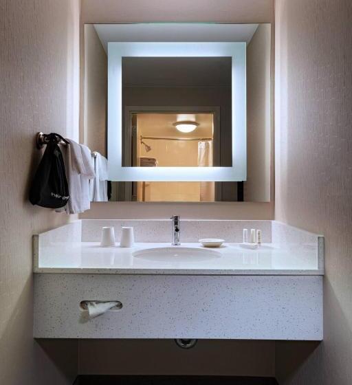 Люкс, Springhill Suites Boise West/eagle