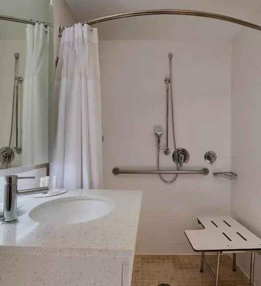 سوئیت با تخت بزرگ, Springhill Suites Boise West/eagle