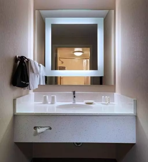 سوئیت با تخت بزرگ, Springhill Suites Boise West/eagle