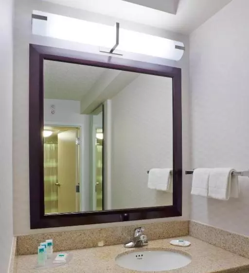 キングサイドベッドのスタンダードワンルーム, Springhill Suites Denver North/westminster