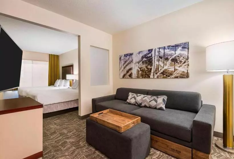 スイート, Springhill Suites Indianapolis Carmel