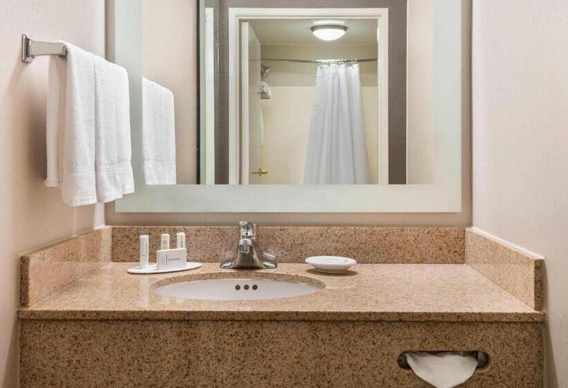 جناح لذوى الاحتياجات الخاصة, Springhill Suites Indianapolis Carmel