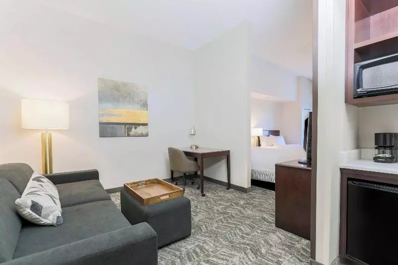 スイート, Springhill Suites By Marriott Yuma