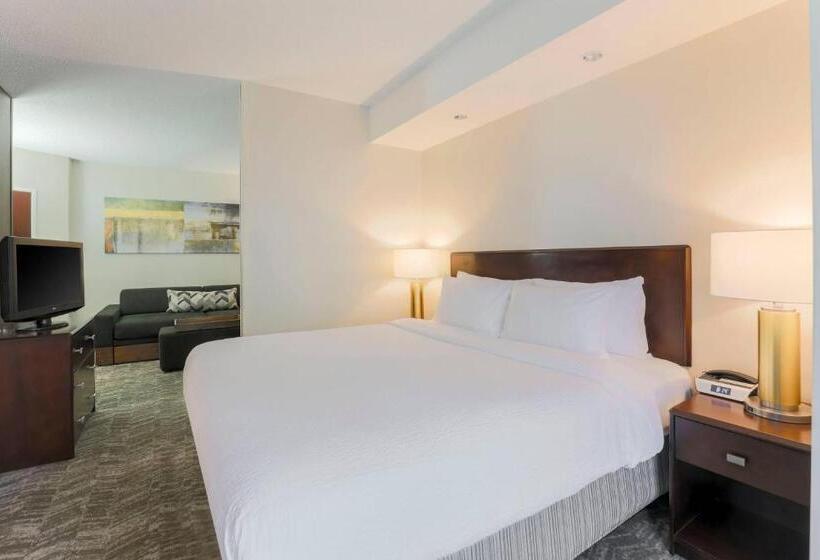 جناح, Springhill Suites By Marriott Yuma