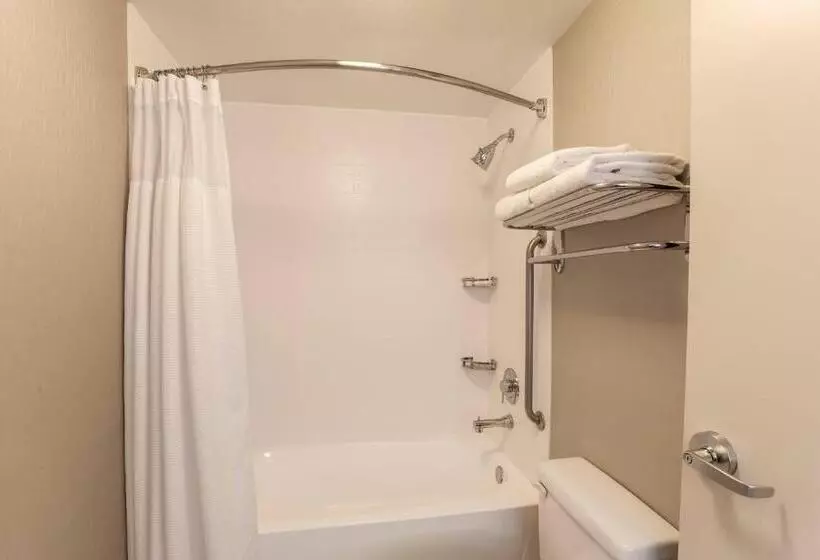 デラックススイート, Springhill Suites By Marriott Yuma