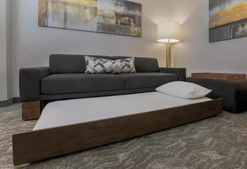 デラックススイート, Springhill Suites By Marriott Yuma