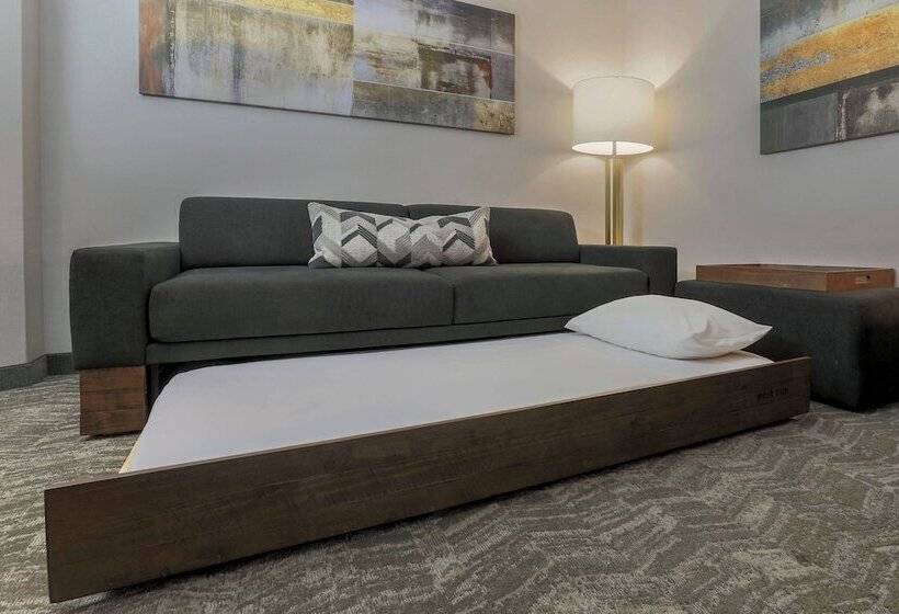 جناح, Springhill Suites By Marriott Yuma