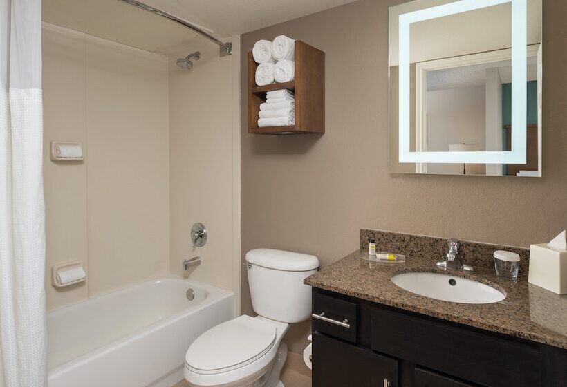 חדר סטודיו סטנדרד, Staybridge Suites Denver Tech Center, An Ihg