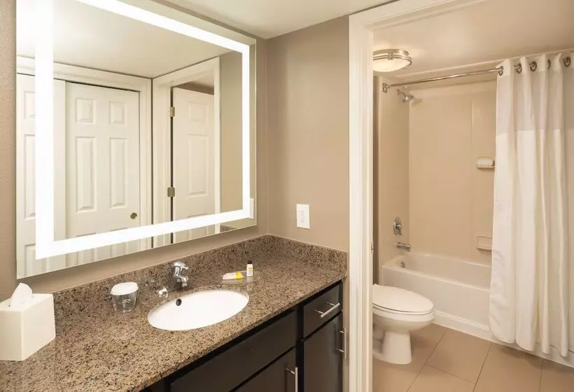 キングサイズベッドのスイートルーム, Staybridge Suites Denver Tech Center, An Ihg