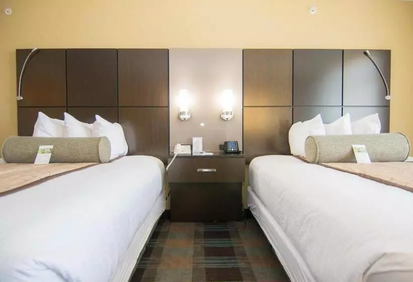 スタンダードルーム, Wingate By Wyndham   Orlando International Airport  Free Hot Breakfast