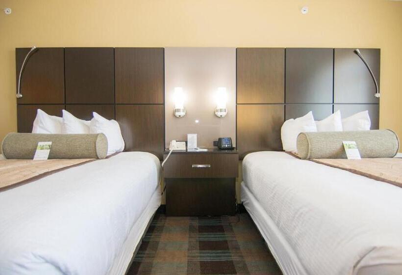 适合残疾人使用的标准间, Wingate By Wyndham   Orlando International Airport  Free Hot Breakfast