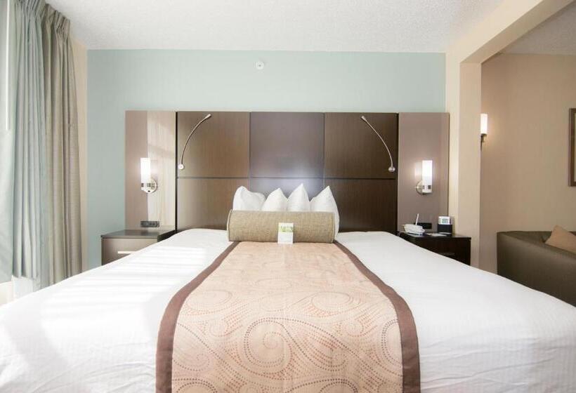 豪华工作室, Wingate By Wyndham   Orlando International Airport  Free Hot Breakfast