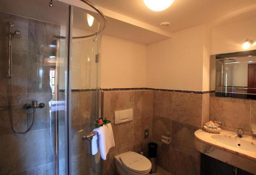 غرفة قياسية, Romantic Hotel Mlýn Karlstejn