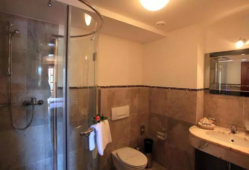 スタンダードルーム, Romantic Hotel Mlýn Karlstejn
