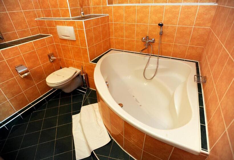 غرفة تنفيذية, Romantic Hotel Mlýn Karlstejn