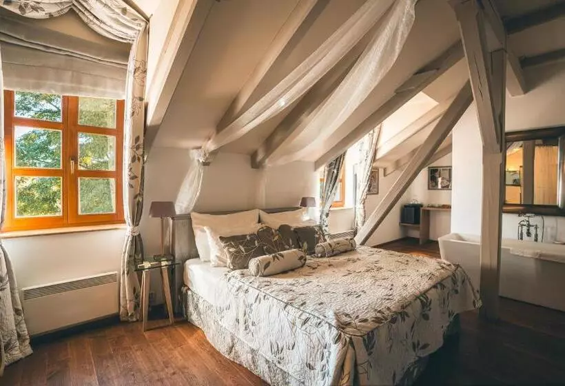 スーペリアールーム, Romantic Hotel Mlýn Karlstejn