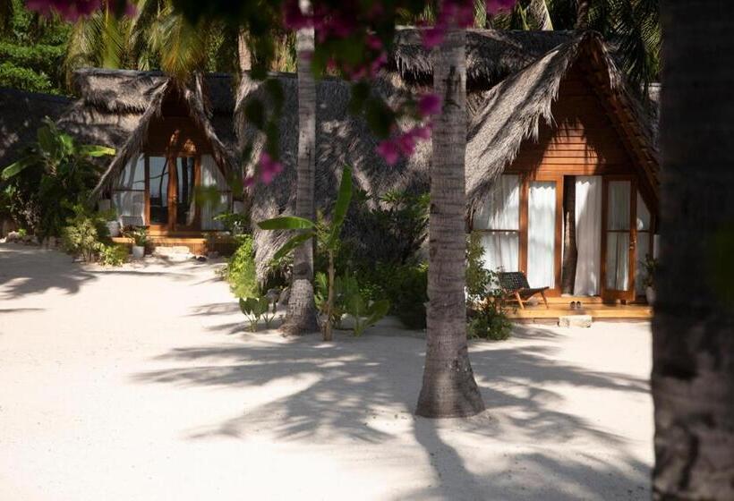 Семейный Номер Superior, 81 Palms Resort