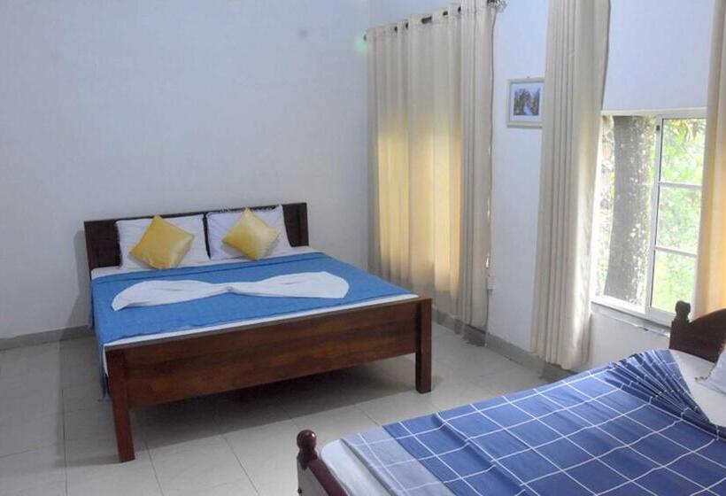 标准三人间, H2o