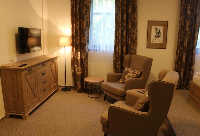 חדר סטנדרט, švýcarský Dům