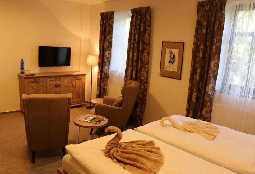 חדר סטנדרט, švýcarský Dům