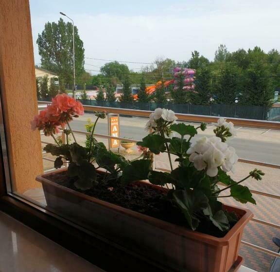 스탠다드 룸, Pensiunea Ama