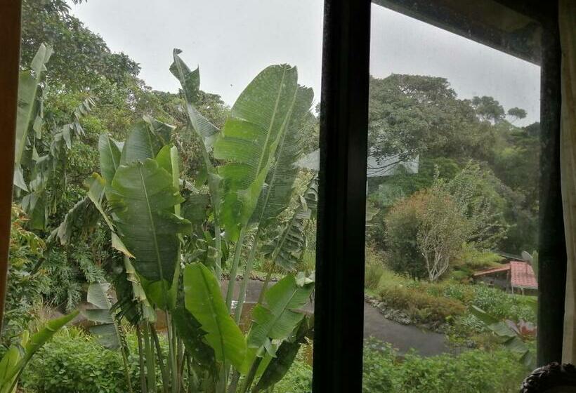 غرفة قياسية, Suite Y Loft Casa Toría