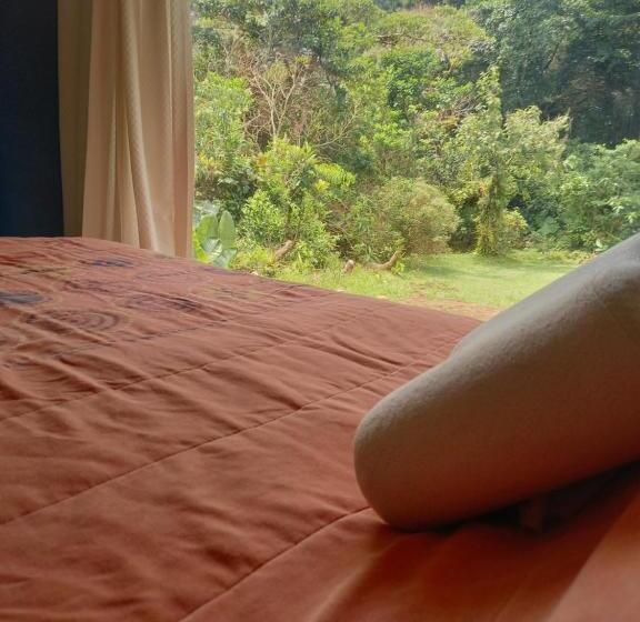 إستوديو قياسى, Suite Y Loft Casa Toría