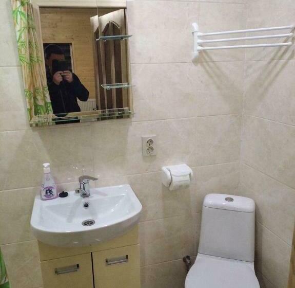 스탠다드 룸, Lisnyi