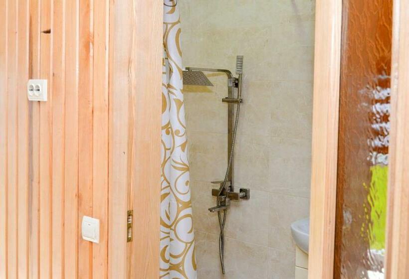 스탠다드 룸, Lisnyi