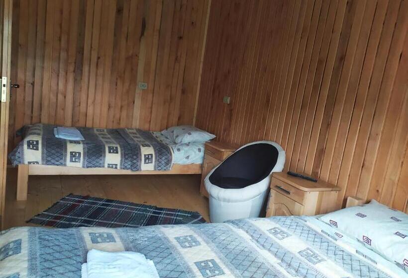 Четырехместный Номер Классик, Lisnyi