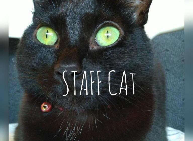 חדר אקונומי, Guesthome Machiya Koza