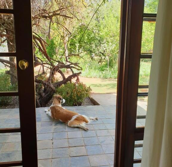 غرفة ديلوكس, Springfontein Guesthouse