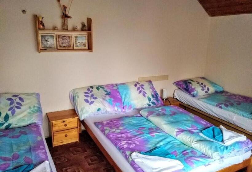 Семейный Номер, Pension Bílý Hořec