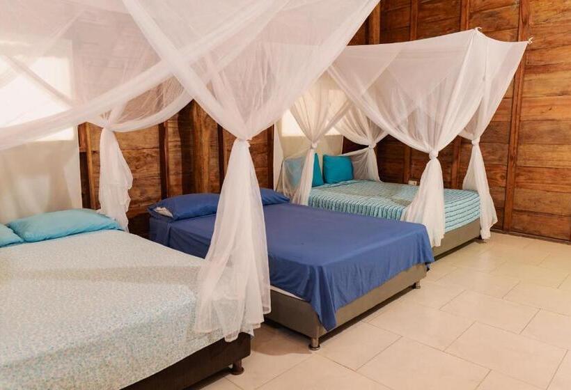 منزل غرفة نوم واحدة, Paraíso Natural Eco