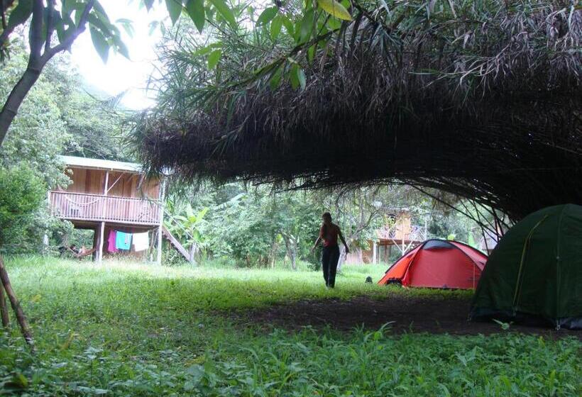 Семейное Бунгало, Rumi Wilco Ecolodge & Nature Reserve Cabañas & Camping