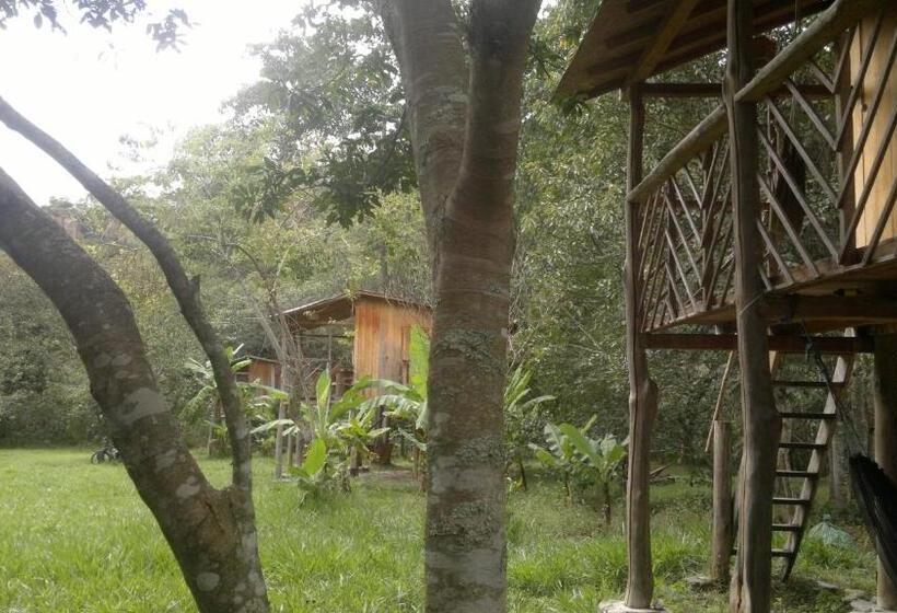 Семейное Бунгало, Rumi Wilco Ecolodge & Nature Reserve Cabañas & Camping