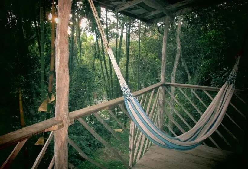 بانگلوی استاندارد, Rumi Wilco Ecolodge & Nature Reserve Cabañas & Camping