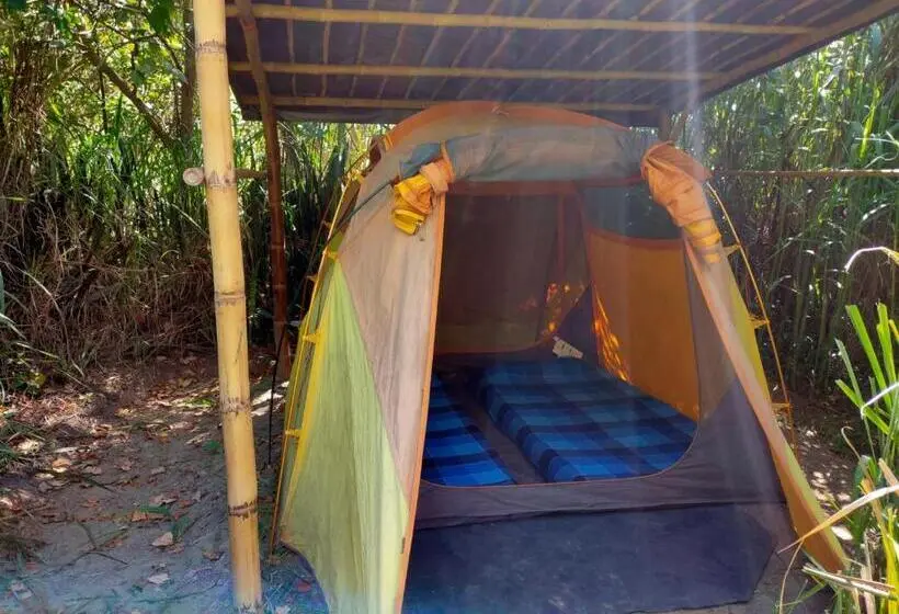 چادر با خدمات رفاهی استاندارد, Rumi Wilco Ecolodge & Nature Reserve Cabañas & Camping