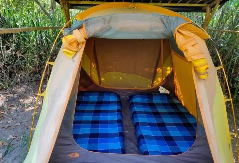 چادر با خدمات رفاهی استاندارد, Rumi Wilco Ecolodge & Nature Reserve Cabañas & Camping