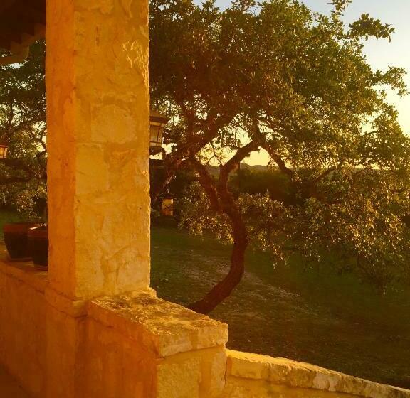 Номер Deluxe, Glory Hills Ranch