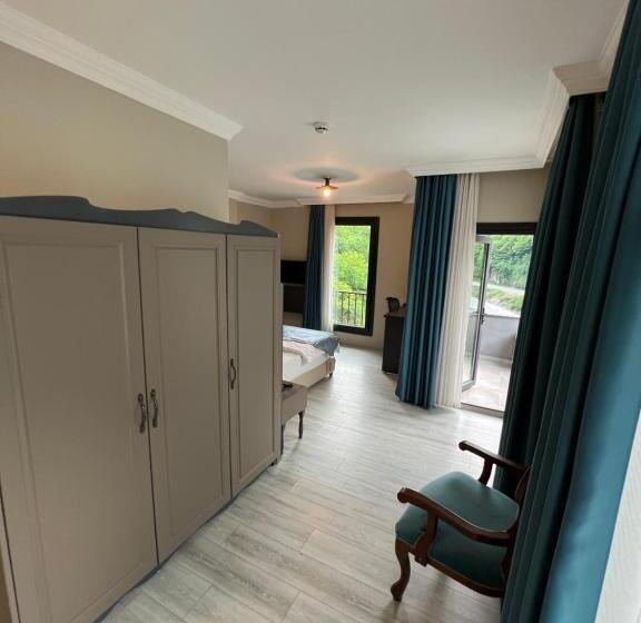 Номер Deluxe с Балконом, Pordani̇s