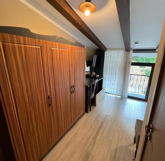 Номер Стандарт Вид на Горы, Pordani̇s