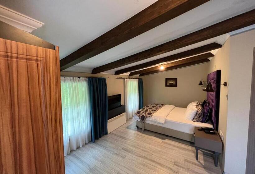 Номер Стандарт Вид на Горы, Pordani̇s