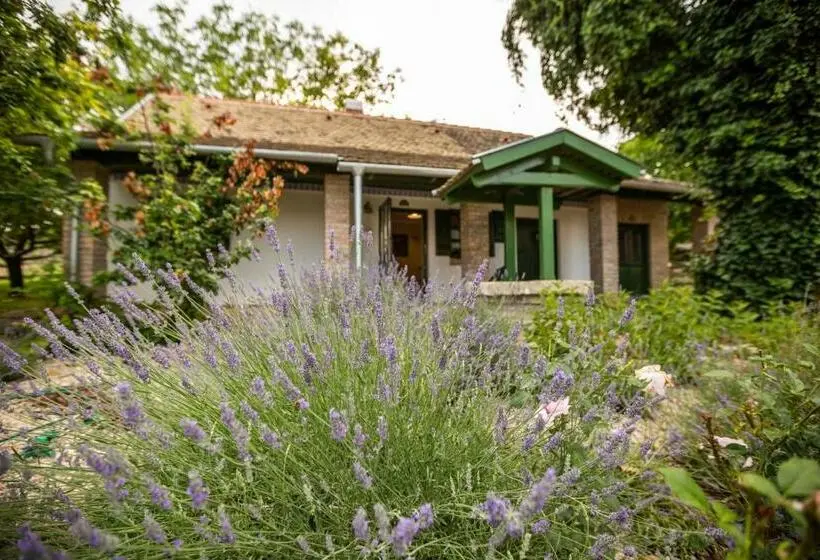 エクゼクティブスイート, Provence Birtok